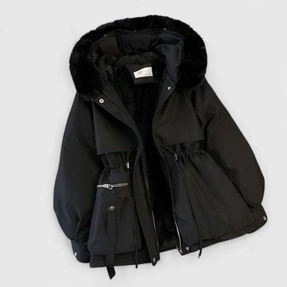 Women's Elegant Jacket | Padded Lining with Cinched Waist Front